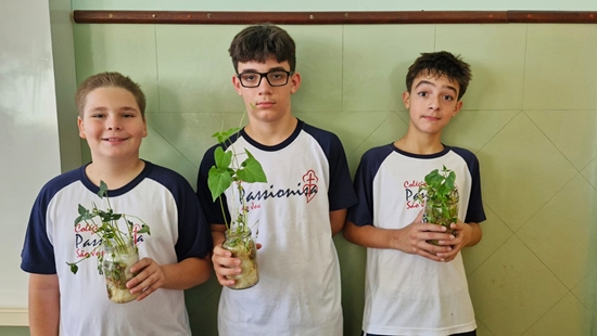 7 Ano - Germinao de feijo utilizando papel toalha Colgio Passionista So Jos